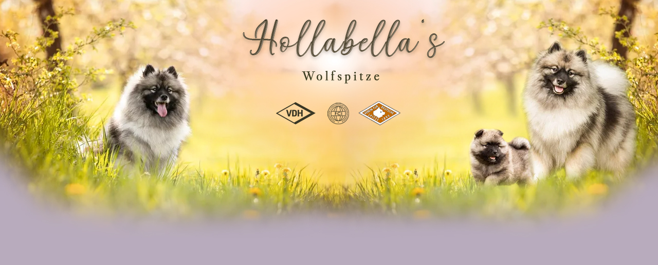 hollabellas.de